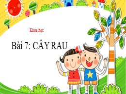 Bài giảng Tự nhiên và xã hội Lớp 1 - Bài 7: C