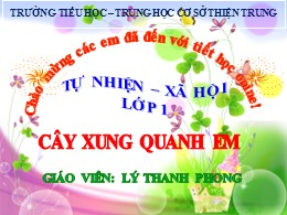 Bài giảng Tự nhiên và xã hội Lớp 1 - Bài: Cây xung quanh em - Lý Thanh Phong