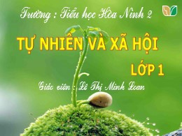 Bài giảng Tự nhiên và xã hội Lớp 1 - Chủ đề 3, Bài 1: Kể về gia đình - Lê Thị Minh Loan