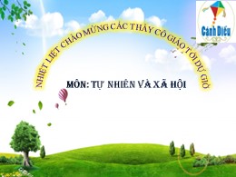 Bài giảng Tự nhiên và xã hội Lớp 1 - Tiết 2, Bài 12: Chăm sóc, bảo vệ cây trồng và vật nuôi