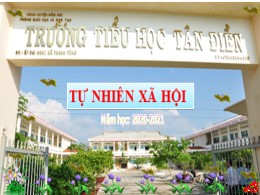 Bài giảng Tự nhiên và xã hội Lớp 1 - Tiết 2, 