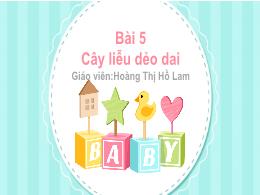 Bài giảng Tiếng Việt 1 (Kết nối tri thức) - C