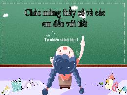 Bài giảng Tự nhiên và xã hội 1 (Kết nối tri t