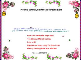 Bài giảng Mầm non Lớp Chồi - Bài: Một số loại