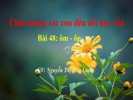 Bài giảng Tiếng Việt 1 (Cánh diều) - Bài 48: 