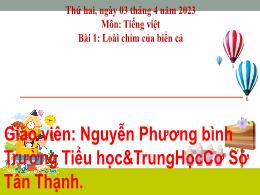 Bài giảng Tiếng Việt 1 (Kết nối tri thức) - B