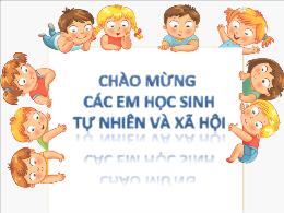 Bài giảng Tự nhiên xã hội Lớp 1 (Kết nối tri 