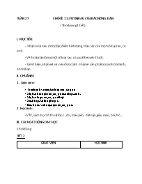 Giáo án Mĩ thuật 1 - Tuần 27-30